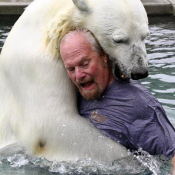 These pet lovers went too far — extremely far. Forget the cats and the dogs. What about bear, lion, snake, tiger, and a CROC? These pet lovers went too far — extremely far. Forget the cats and the dogs. What about bear, lion, snake, tiger, and a CROC?
