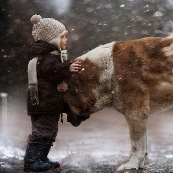 Elena Shumilova’s amazing photographs of her son and his dog. Elena Shumilova’s amazing photographs of her son and his dog.