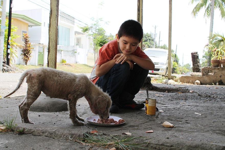 shelter animal kind kid boy kill ken animals filipino happy pet heart result